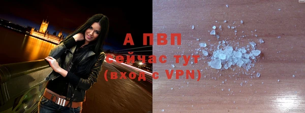 ECSTASY Медвежьегорск