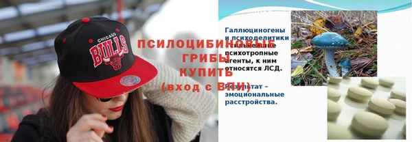 стаф Канск