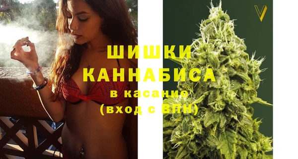 шишки Вязники