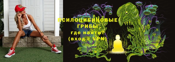 ECSTASY Медвежьегорск